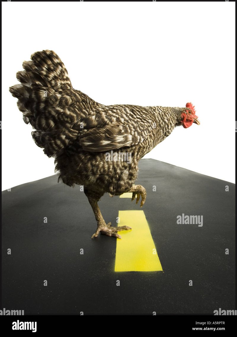 Descubre la Emoción con el Nuevo Juego de Casino: Chicken Road en línea, chicken road game