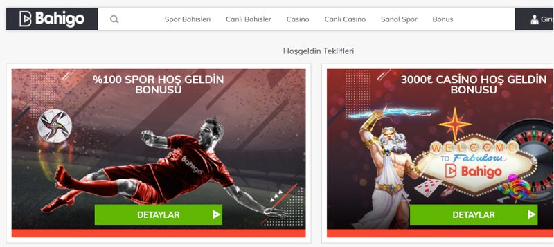 Overview of bahigo online casino